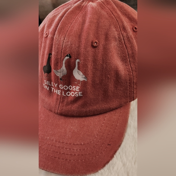 NEW - NEW - HAT, BASEBALL CAP - Geese... SILLY GOOSE ON THE LOOSE - Picture 3 of 5